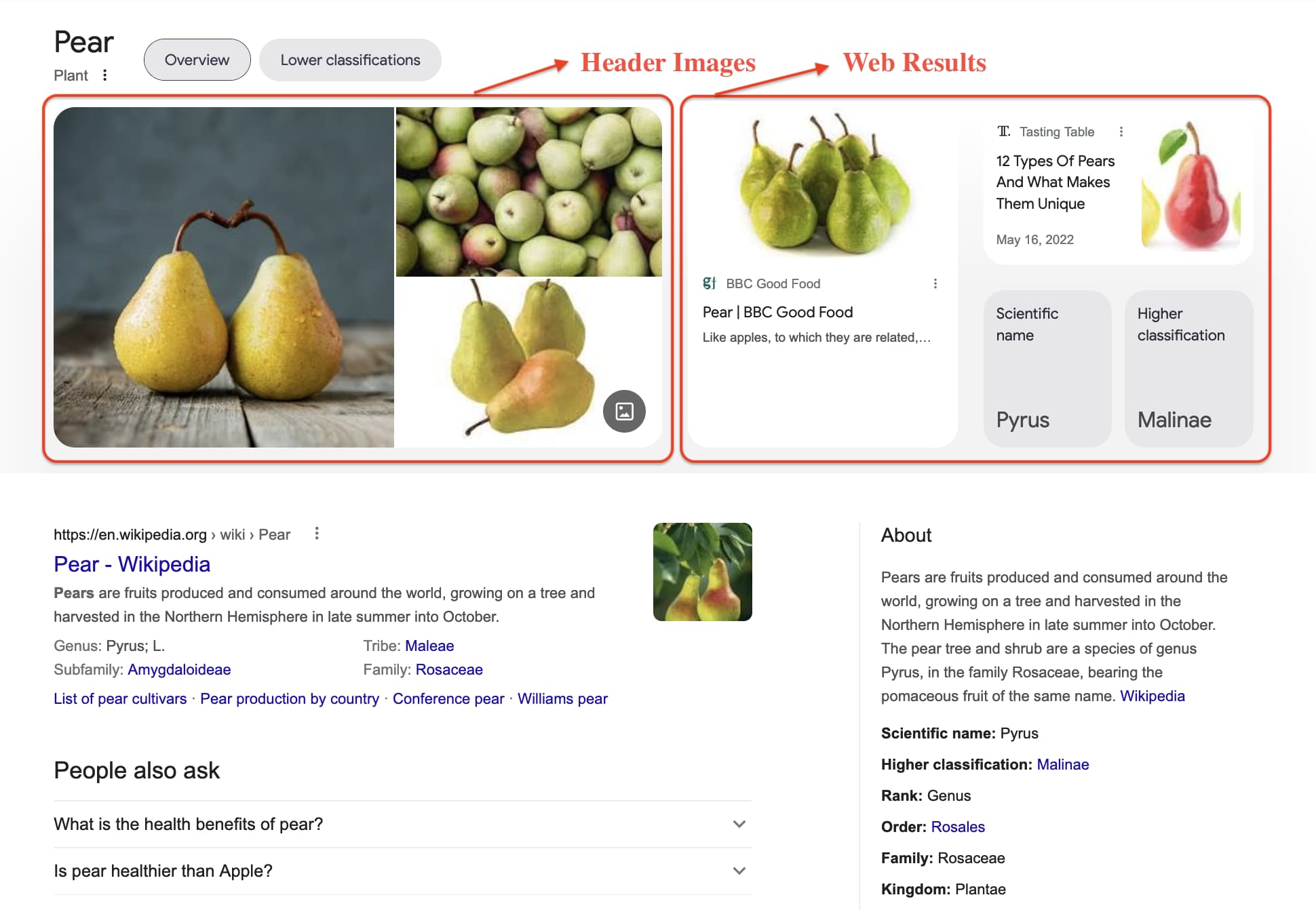 Results for: Pears